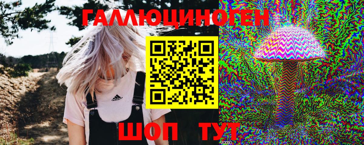 где продают наркотики  Галлюциногенные грибы GOLDEN TEACHER  Вход с VPN  Бугуруслан 